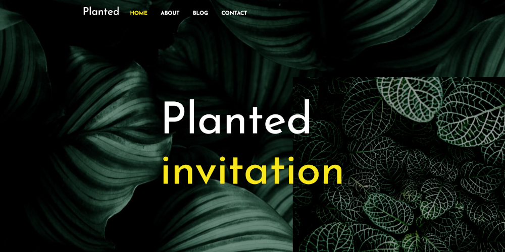 screenshot of a website about plants